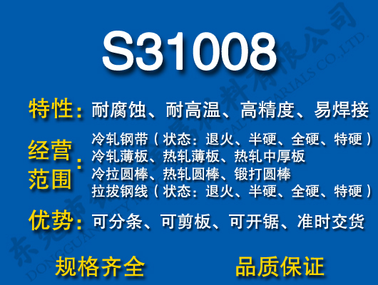 S31008