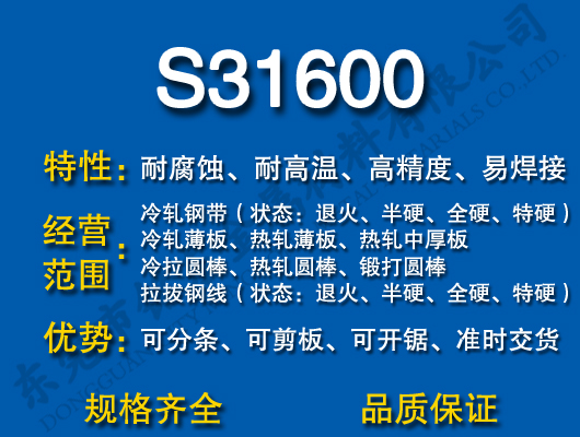 S31600