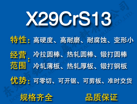 X29CrS13