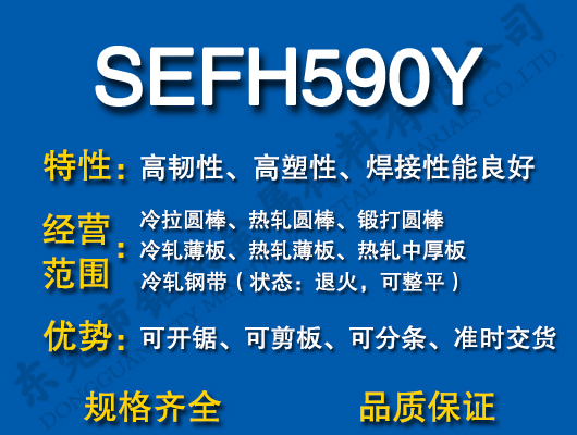 SEFH590Y̼