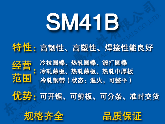 SM41B̼