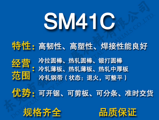 SM41C̼